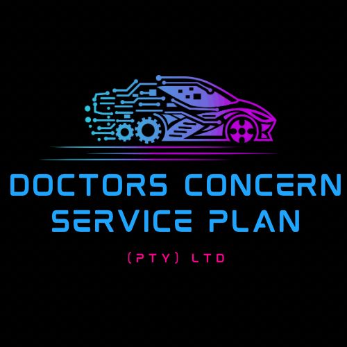 Professional car service